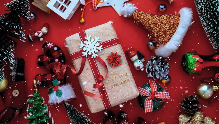 Fêtes de Noel images personnalisables pour broderie