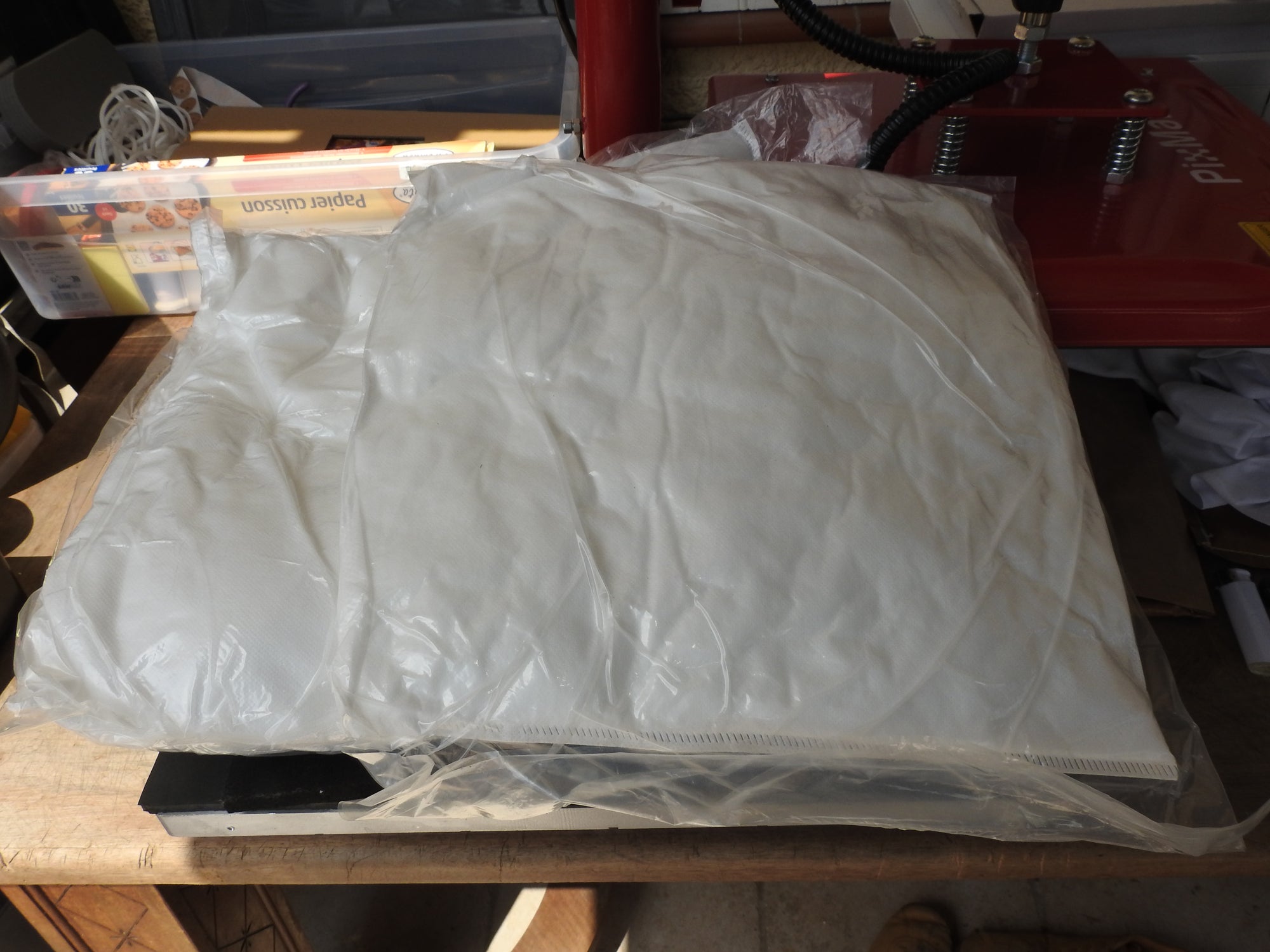 Lot de 2 housses de coussin rembourrées “Éclat raffiné”