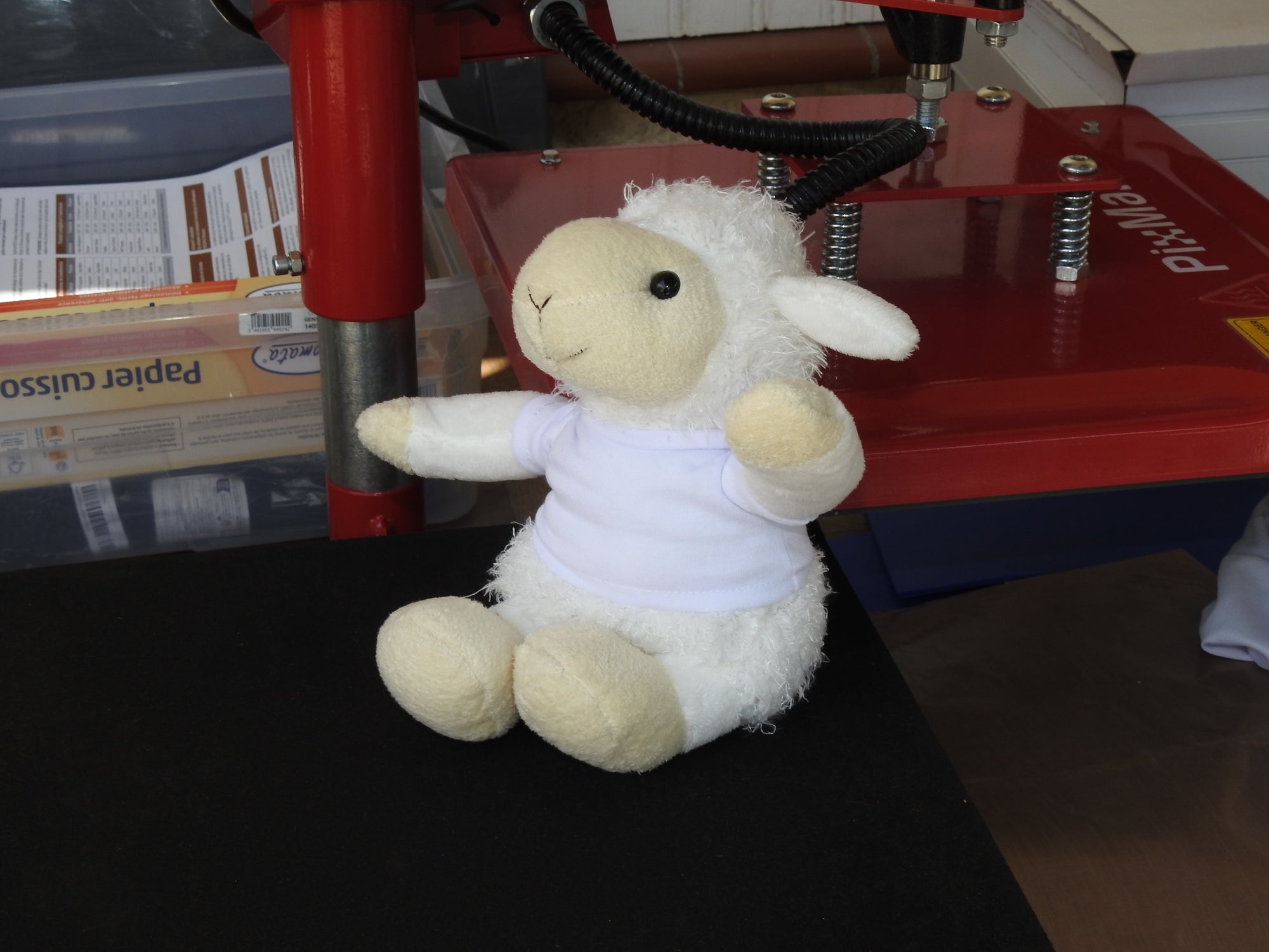 🧸 Peluche personnalisable “Blitz”